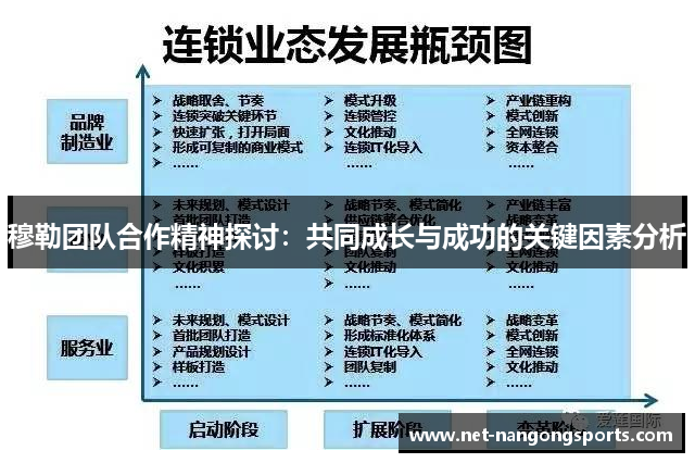 穆勒团队合作精神探讨：共同成长与成功的关键因素分析