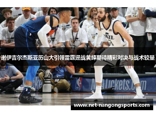 谢伊吉尔杰斯亚历山大引领雷霆迎战黄蜂期待精彩对决与战术较量