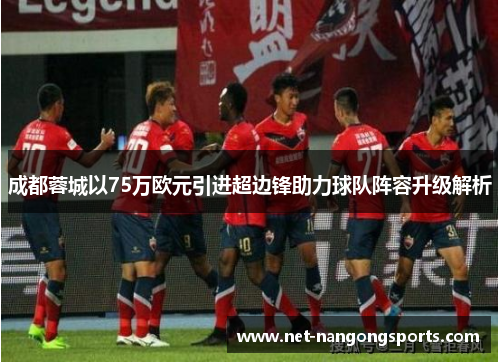 成都蓉城以75万欧元引进超边锋助力球队阵容升级解析