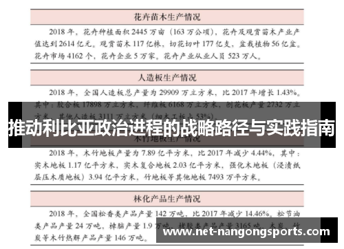推动利比亚政治进程的战略路径与实践指南