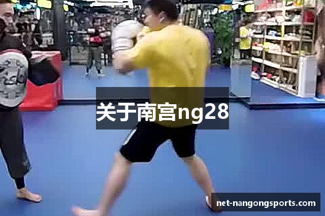 关于南宫ng28